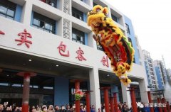 醒狮贺岁,合肥宇涛产业园区管理有限公司2019年开工大吉